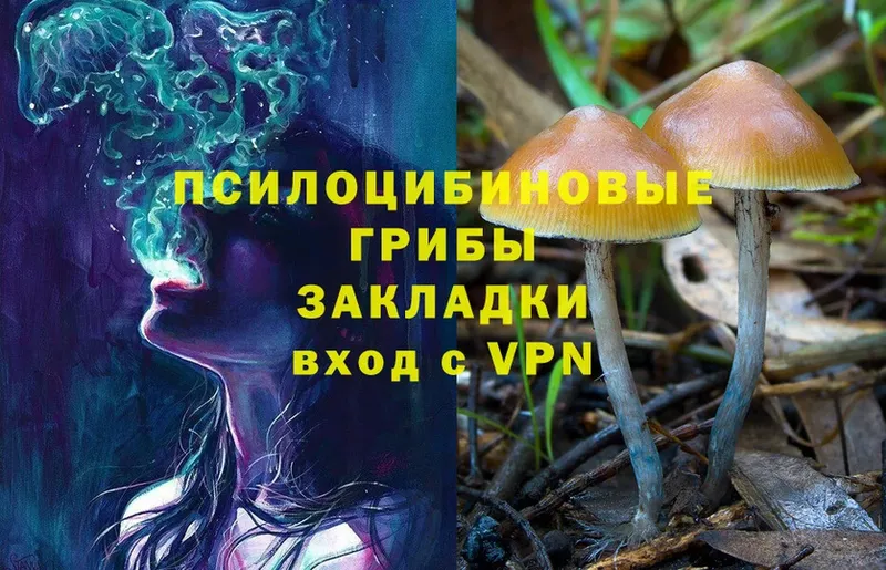 Псилоцибиновые грибы Magic Shrooms  закладки  Апрелевка 